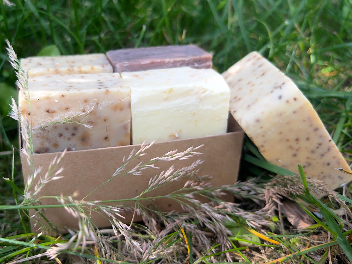 Sample Pack - Everyday Bar Soaps