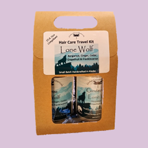 Travel Hair Care Kit